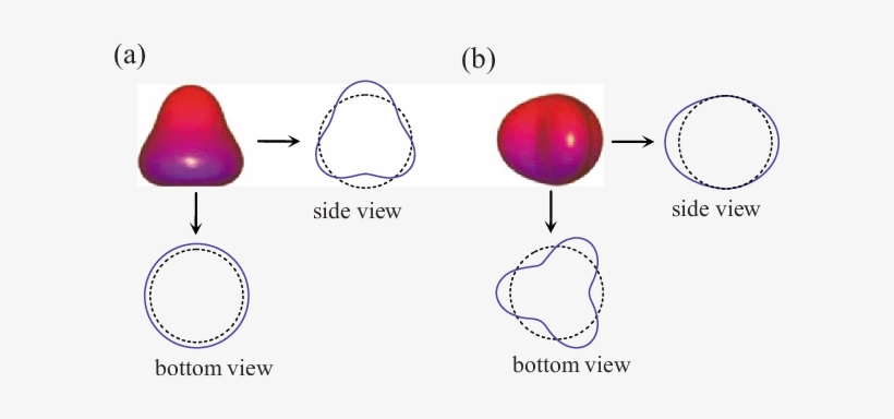 Color Online Axisymmetric Oscillation And Sectorial - Diagram, transparent png