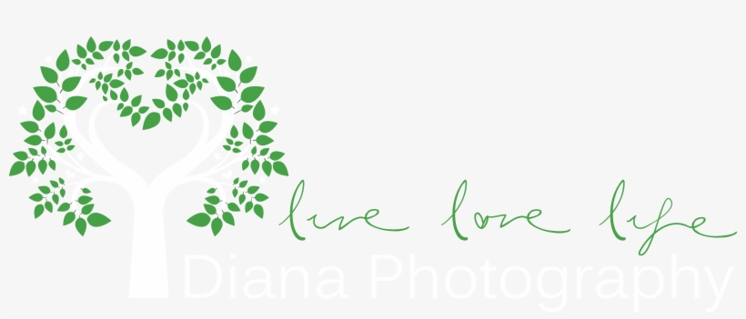 Diana Photography - Calligraphy, transparent png