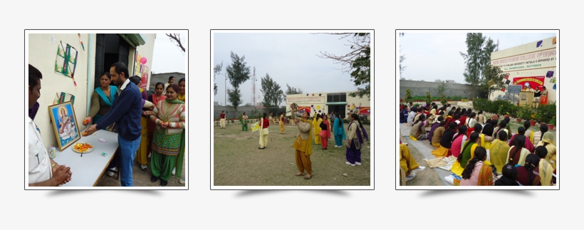 On 15th Feb “aai Basant Udi Patang'was Celebrated In - Tree, transparent png