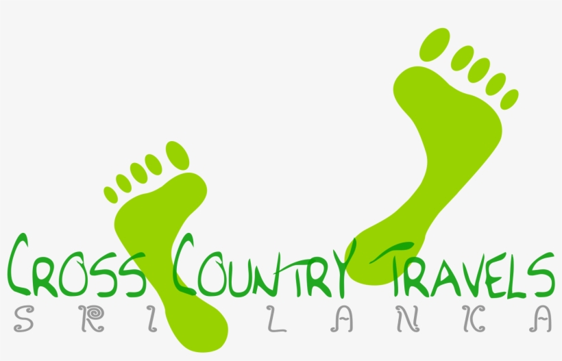 Graphic Design, transparent png