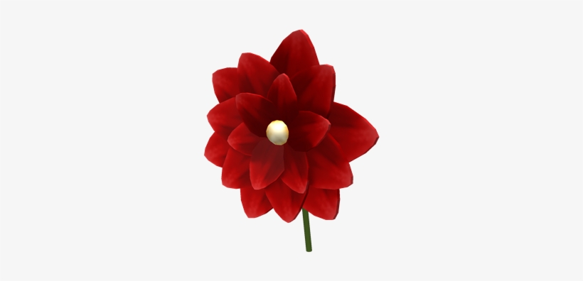 Scarlet Lapel Flower - Flower, transparent png