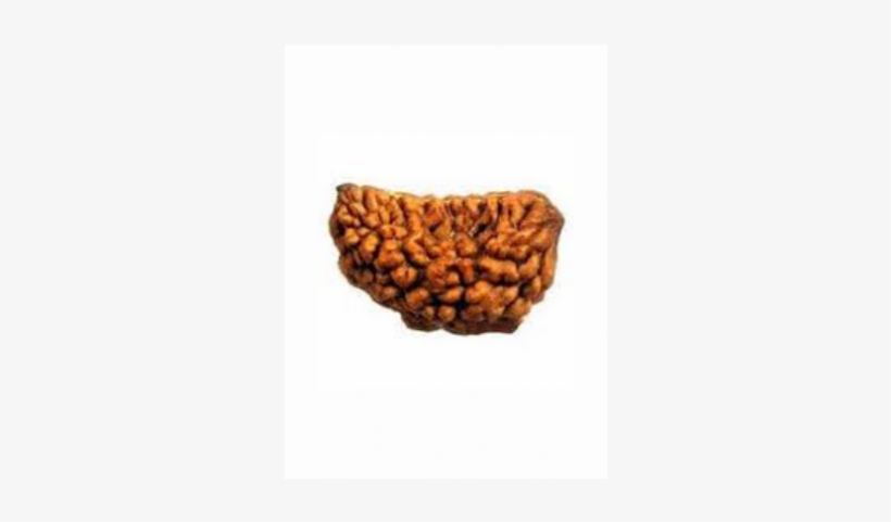 Cashew, transparent png