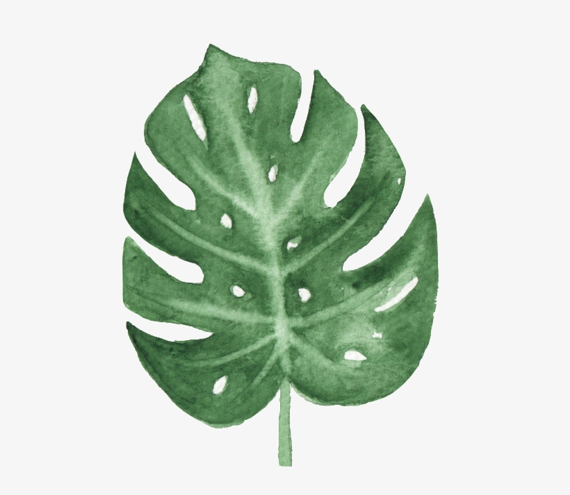 The Green Banana Leaf Watercolor Transparent Buckle - Watercolor Leaves Png Transparent, transparent png