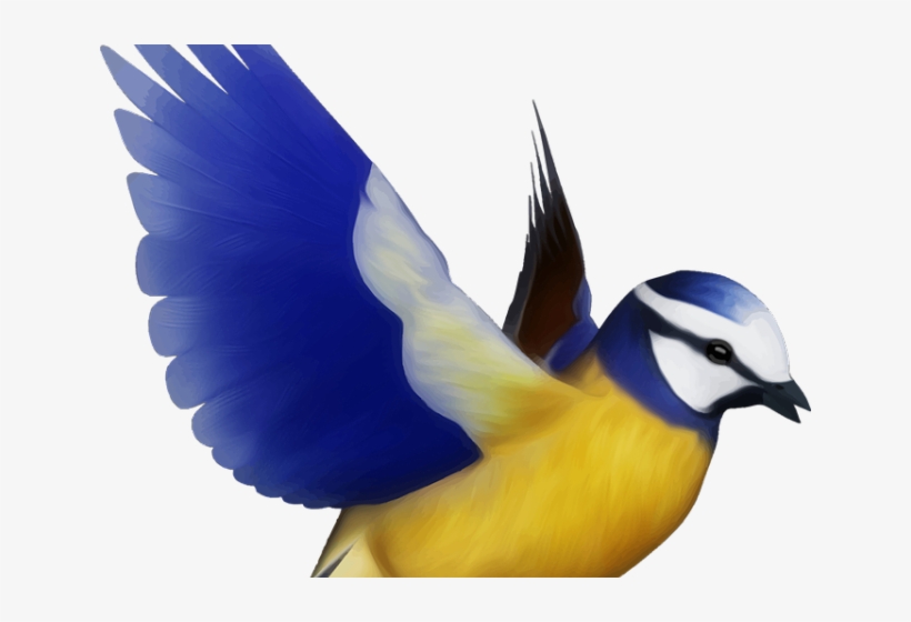 Flying Bird Clipart Bird Png - Desenho De Pássaro Colorido, transparent png
