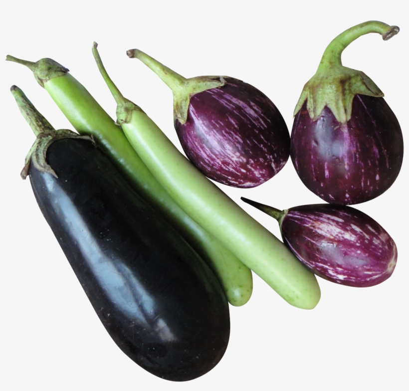 Brinjal Eggplant Png Image - Brinjal Png, transparent png