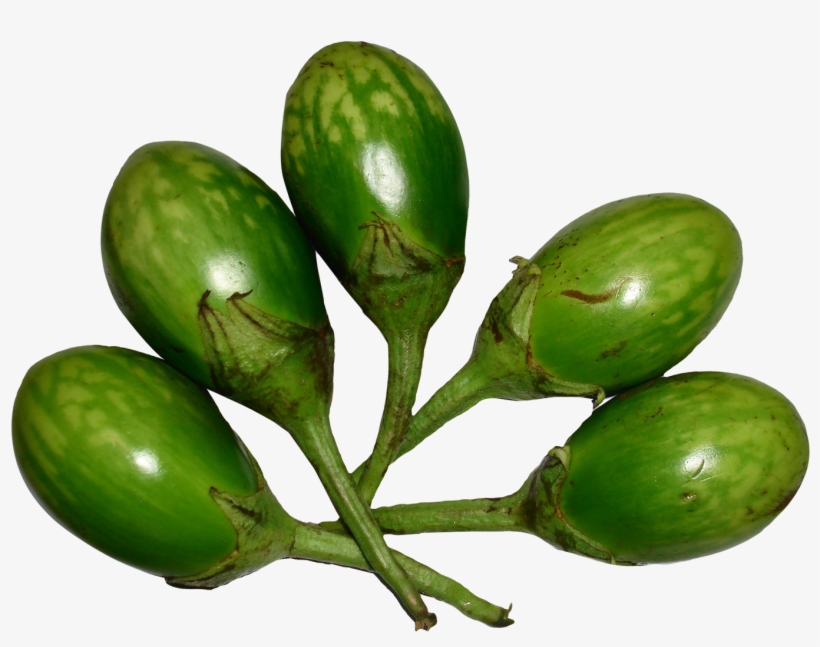 Brinjal Green Png Image - Brinjal Green Png, transparent png