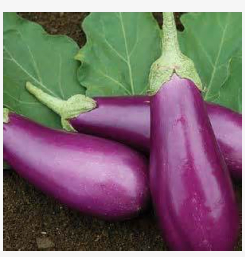 More Views - Brinjal - Brinjal Vegetable, transparent png