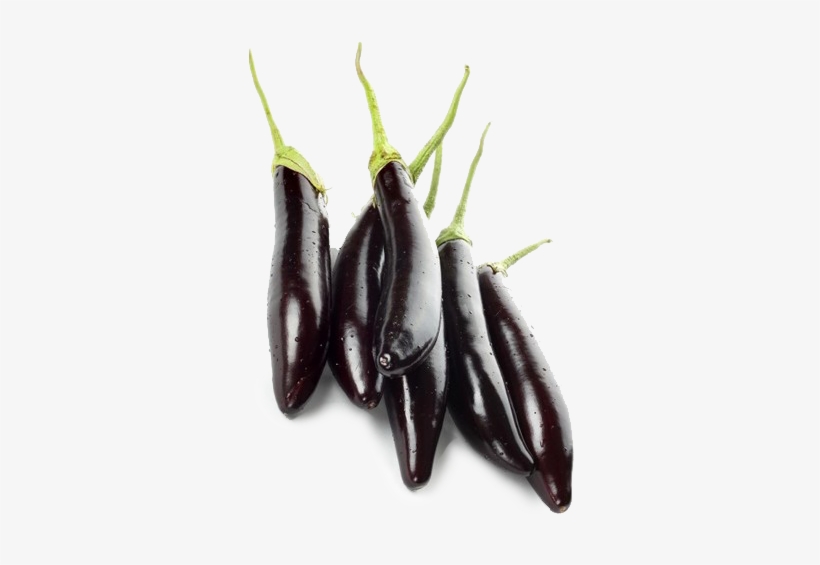 Brinjal - Purple Long - Gourmet Long Oriental Eggplants - 4 Plants - Asian,, transparent png