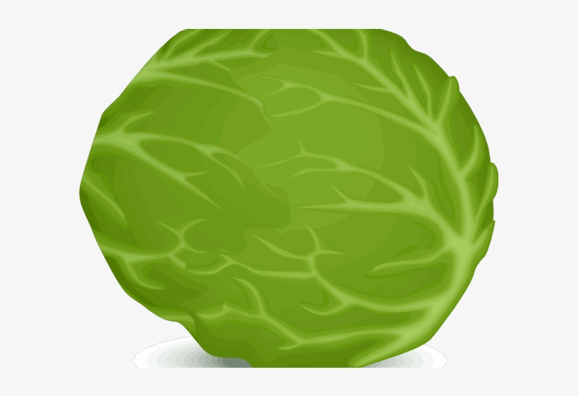 Lettuce Clipart Iceberg Lettuce - Clip Art, transparent png