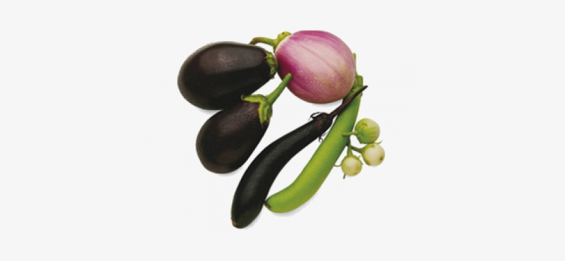 Eggplant, transparent png