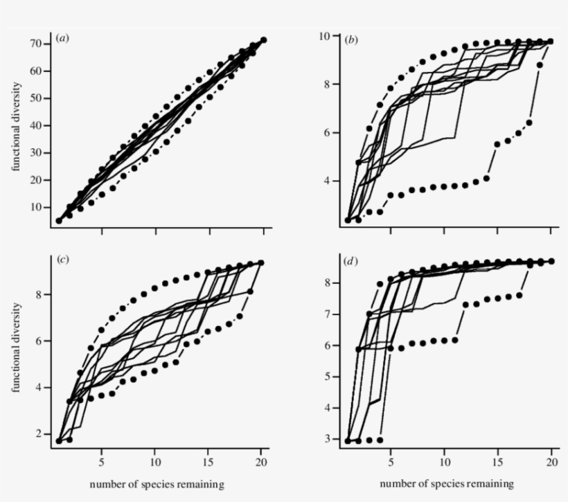 Effects Of Randomly Ordered Extinctions And Best Or - Diagram, transparent png