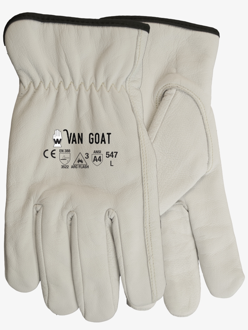 Download Product Photo - Hand, transparent png