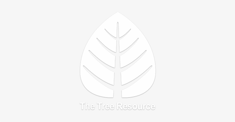 2018 The Tree Resource - Illustration, transparent png