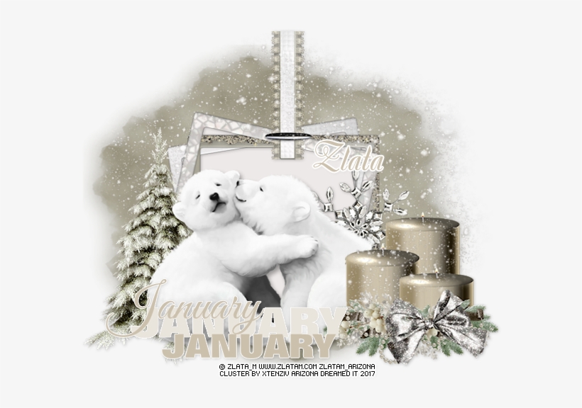 My Sweet Teddy Bear - Polar Bear, transparent png