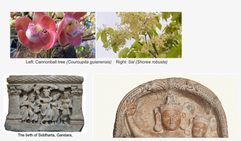 Stone Carving, transparent png