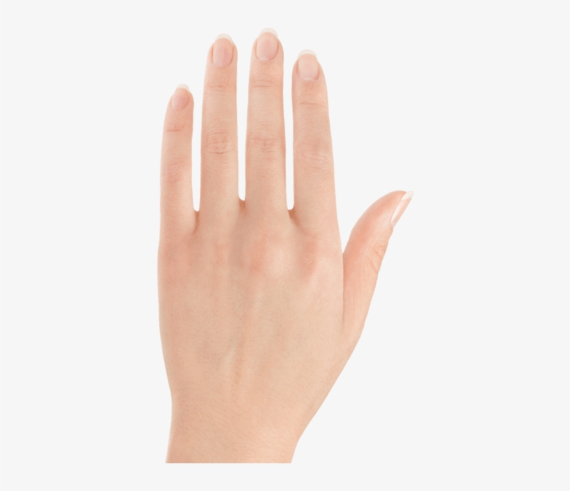 Hand 4 Hand 1 M27250 Me Headonview Gold Wd - Forevermark Solitaire Ring, transparent png