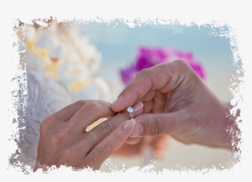 Maldives - Wedding - Tuna, transparent png