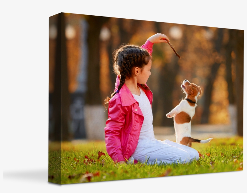 Canvas Prints Photos To Canvas Prints Save Today Png - Dog, transparent png
