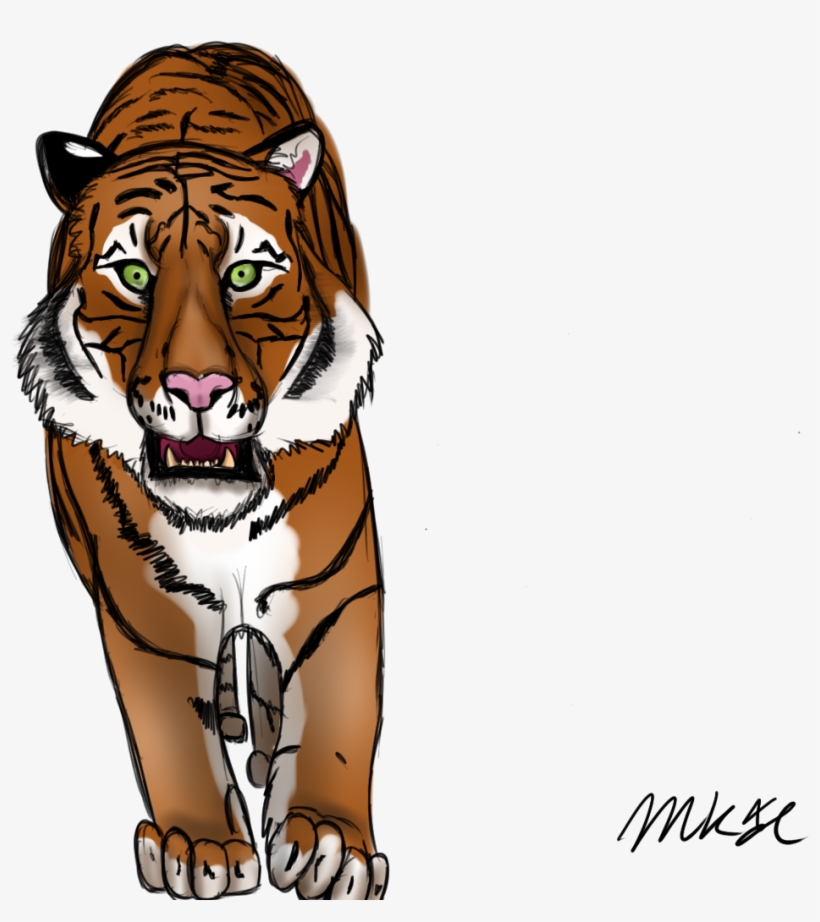 Drawn Tiger Mad Tiger - Drawing Of Mad Tiger, transparent png