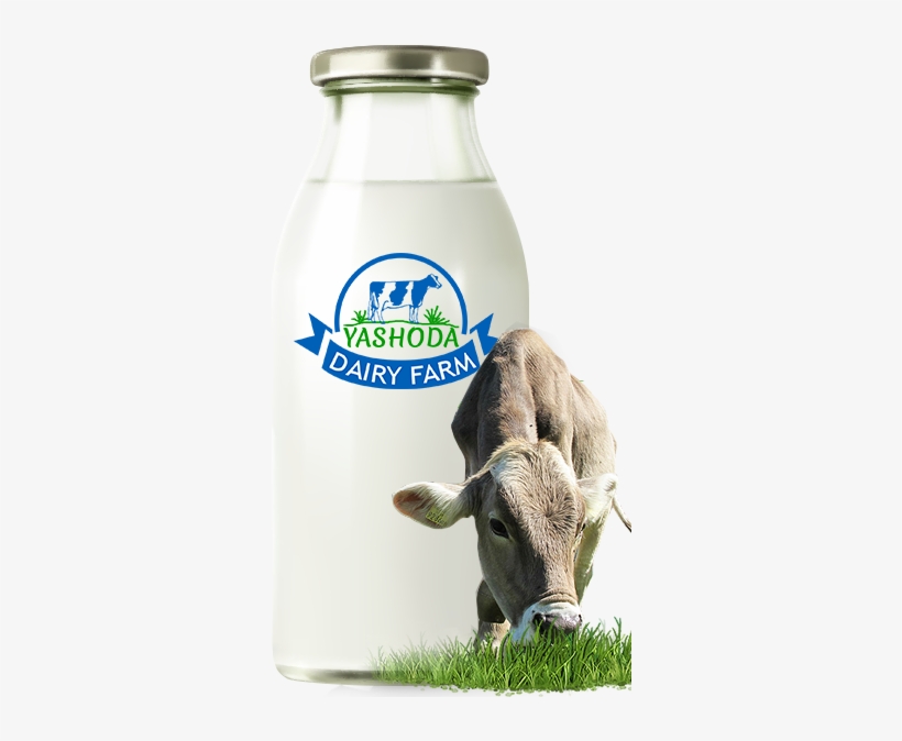 We Deliver To The Customer Within Two-three Hrs After - Grazing Cows Mountain Farm Snap On Protective Slim, transparent png