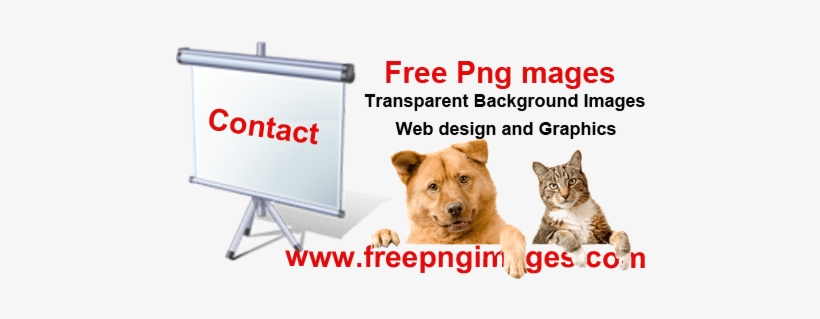 Free Png Images Contact Us - Yoyoung Slow Feeder Cat Bowl And Stainless Steel Dog, transparent png