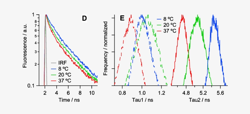 Fluorescence Lifetime Imaging Of Porcine Eye Lens Slices - Plot, transparent png