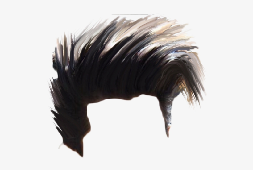 Hair Png Download Hd Quality - Picsart Photo Studio, transparent png