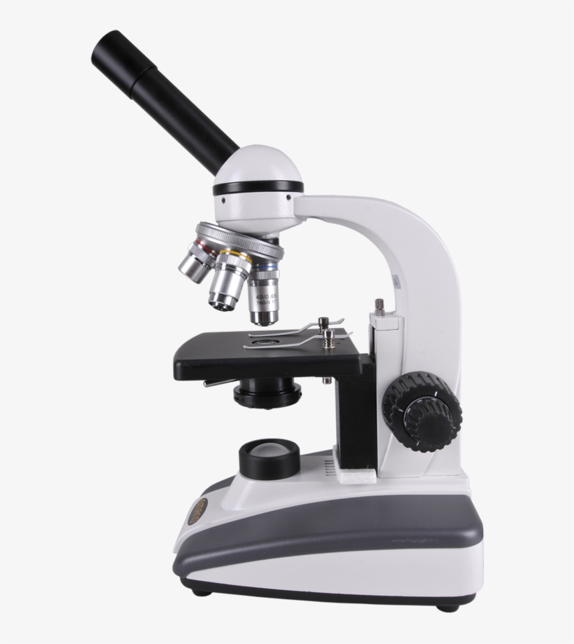 Clipart Transparent Stock Microscope Clipart Transparent - Highest Magnification Of A Light Microscope, transparent png