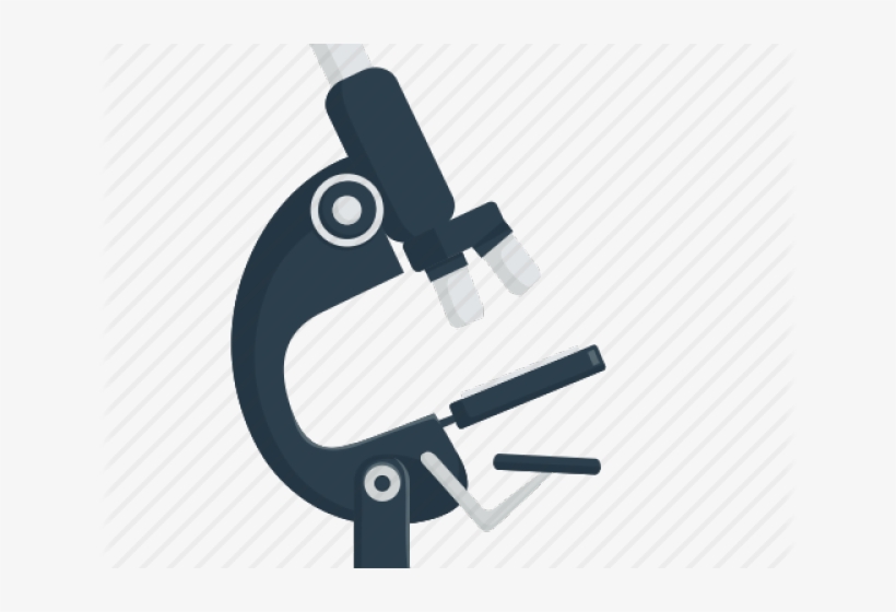 Illustration, transparent png