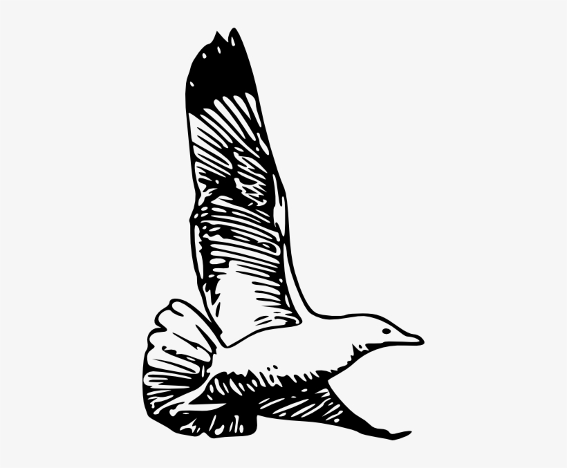 How To Set Use Flying Bird Svg Vector, transparent png