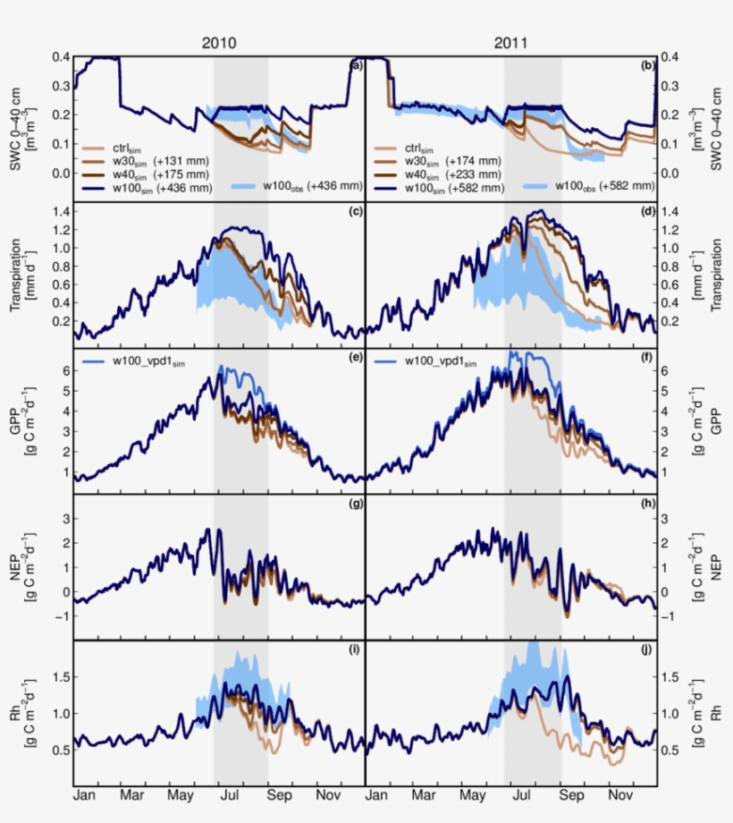 Effects Of Experimentally Decreased Summer Drought - Plot, transparent png