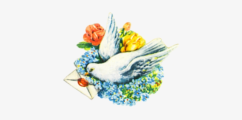 Pigeon With Letter And Flowers - Flower, transparent png