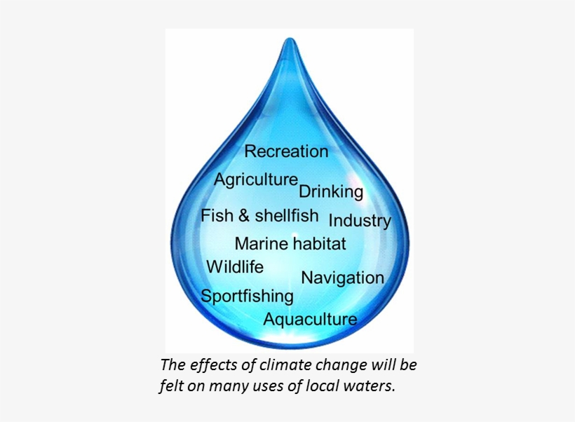 The Direct And Indirect Effects Of Climate Change Have - Best Introduction For Climate Change, transparent png