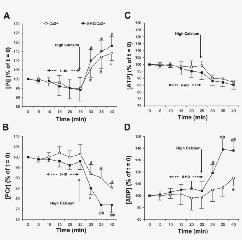 Effects Of 5 Hd On The Metabolic Status Of The Heart - Chemistry, transparent png