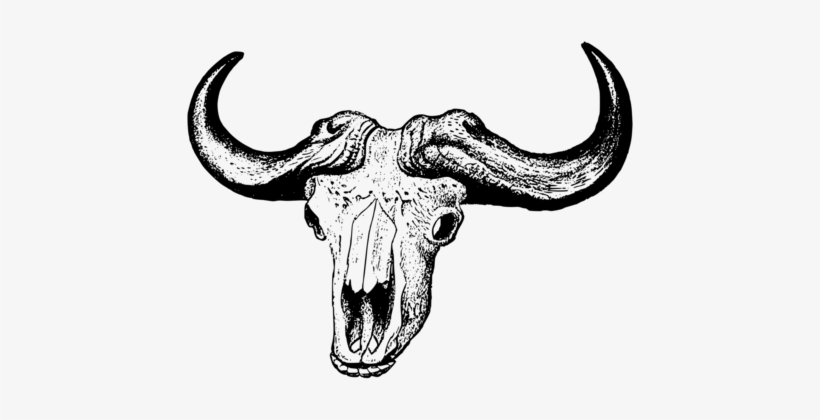 African Buffalo Skull Computer Icons American Bison - Buffalo Skull Drawing Png, transparent png