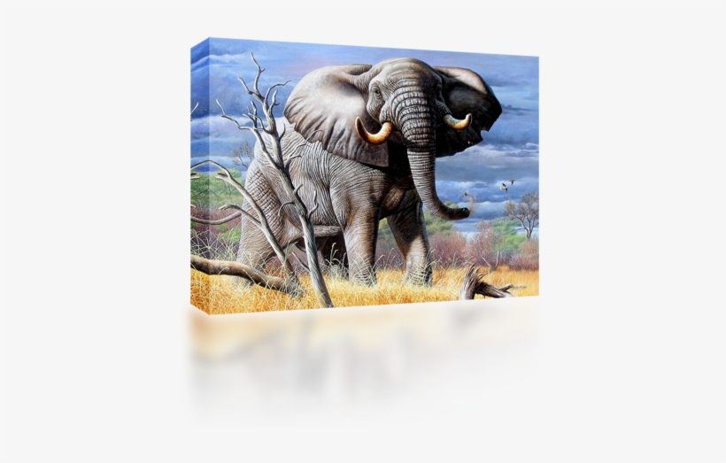 African Grey Elephant - African Collage, transparent png