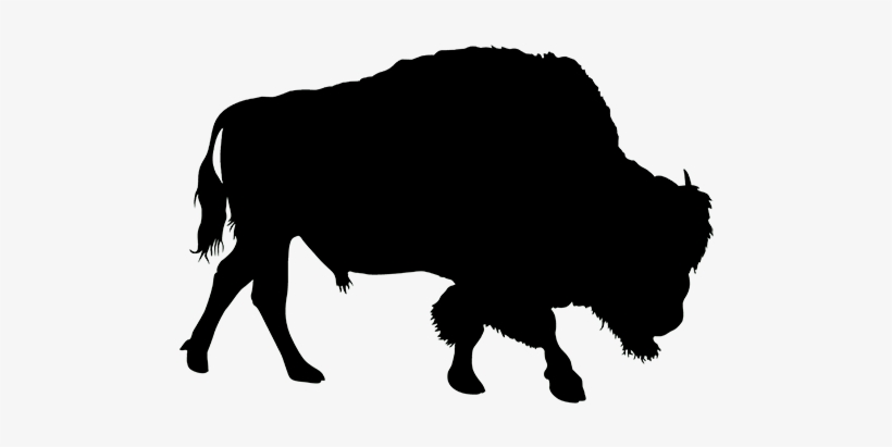 American Buffalo Sihouette - Designart 'bison Double Exposure Illustration' Large, transparent png