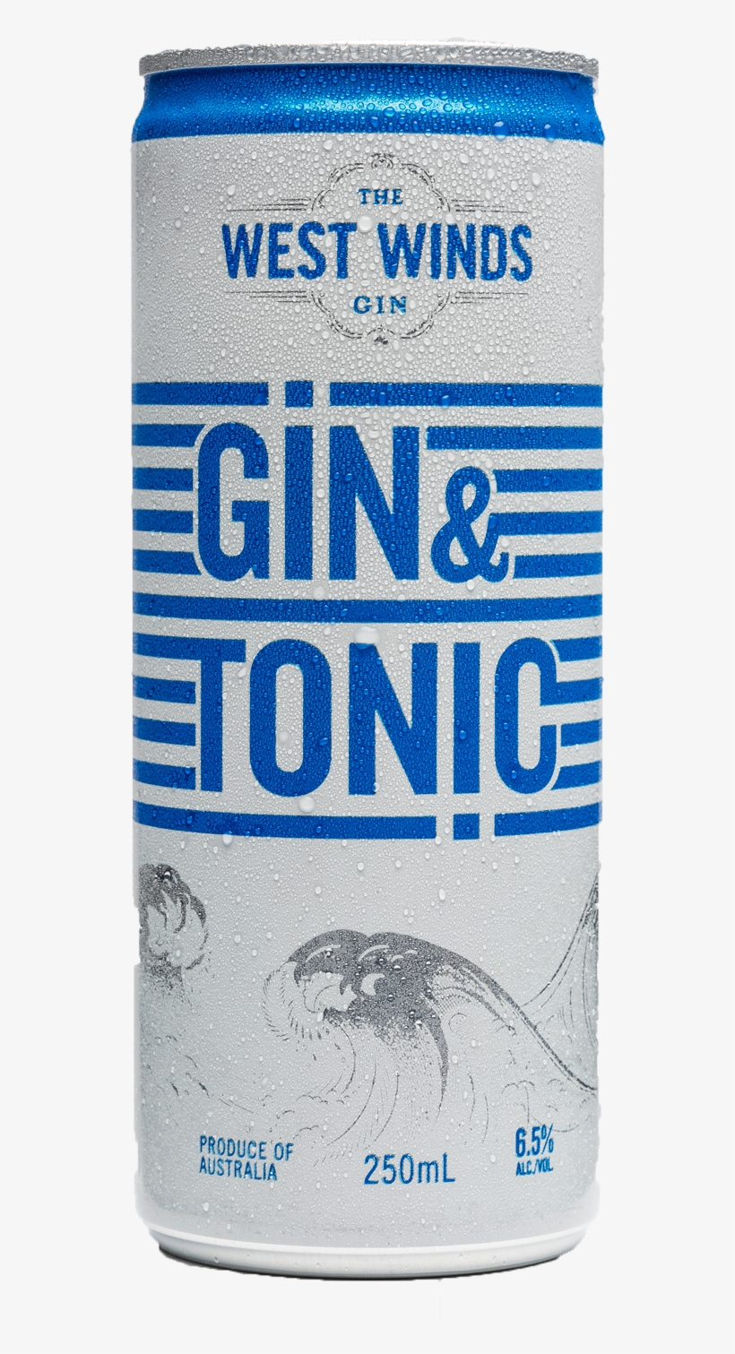 The West Winds Gin Sabre Gin And Tonic Cans 250ml West Winds Gin And