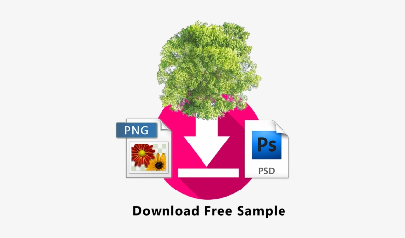 Top View Plants Images - Plan, transparent png