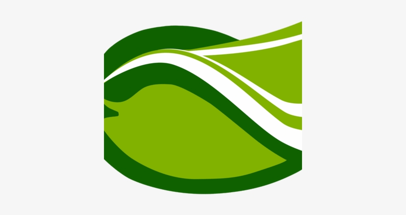 Green Mango Books - Green Mamgo Png, transparent png
