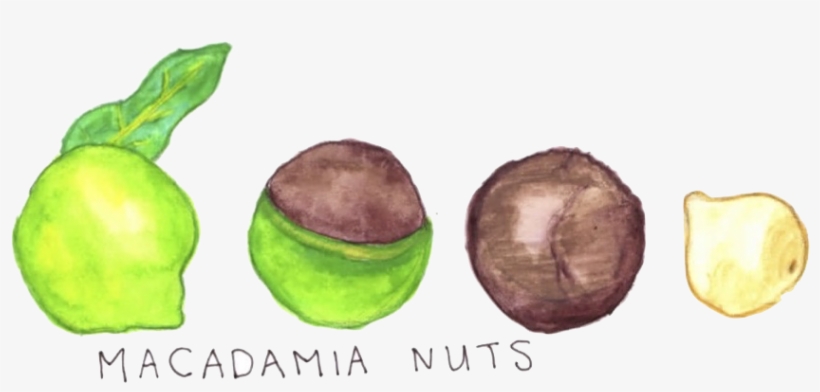 I Have Worked For Good Food And Currently Write For - Child Art, transparent png