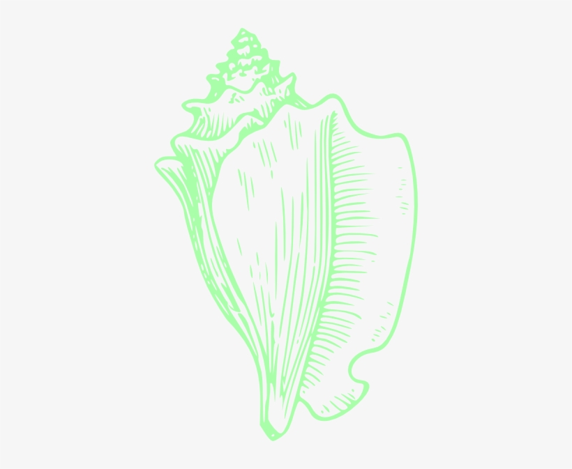 How To Set Use Green Shell Wedding Clipart, transparent png