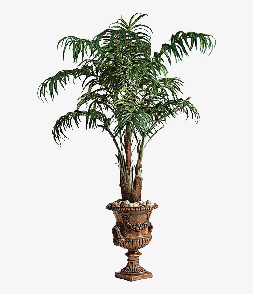 Palm Tree Png Image Large Size - Potted Palm Tree Png, transparent png