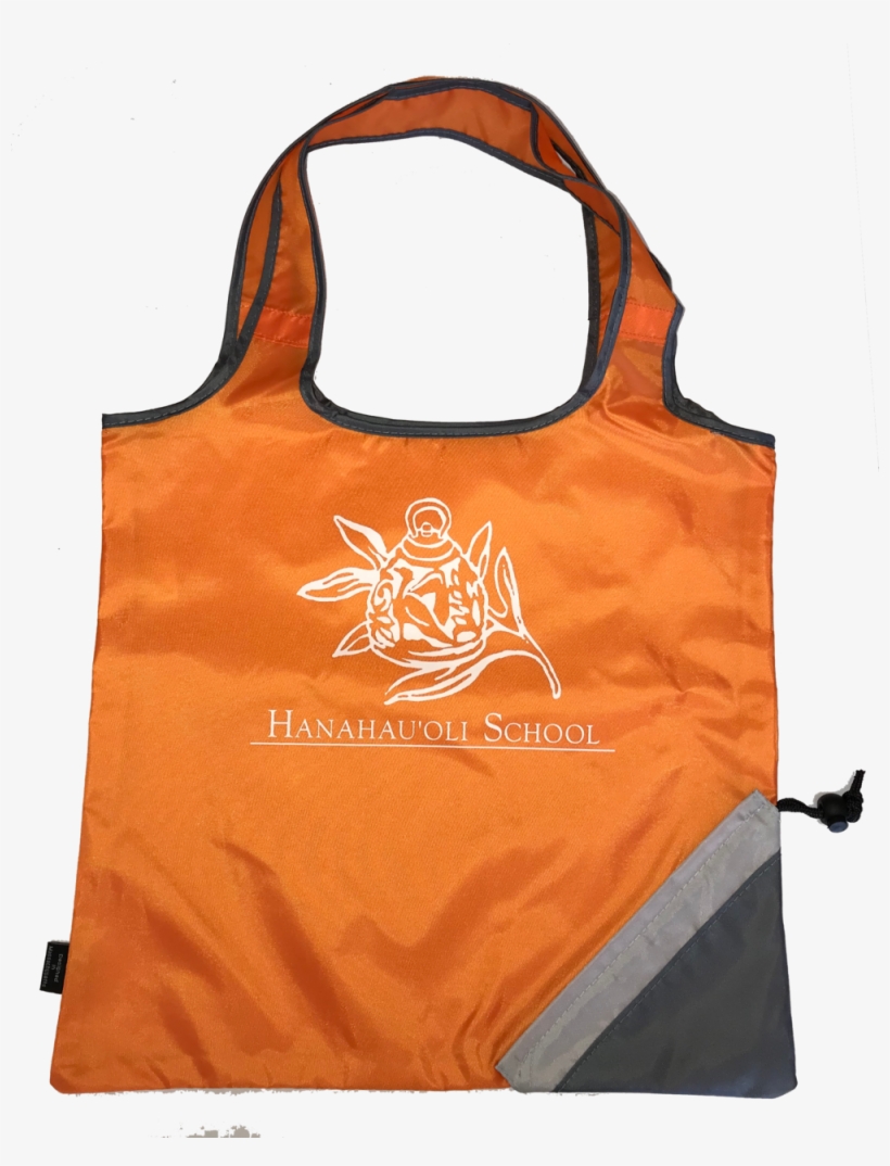 Reusable Shopping Bag 1000x1261 PNG Download PNGkit