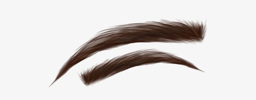 Eyebrows Eye Eyes Iris Brown - Picsart Hair Colour Png, transparent png