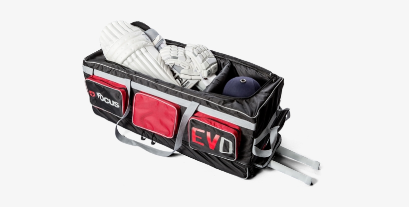Focus Cricket Products For The Purist - Cricket, transparent png