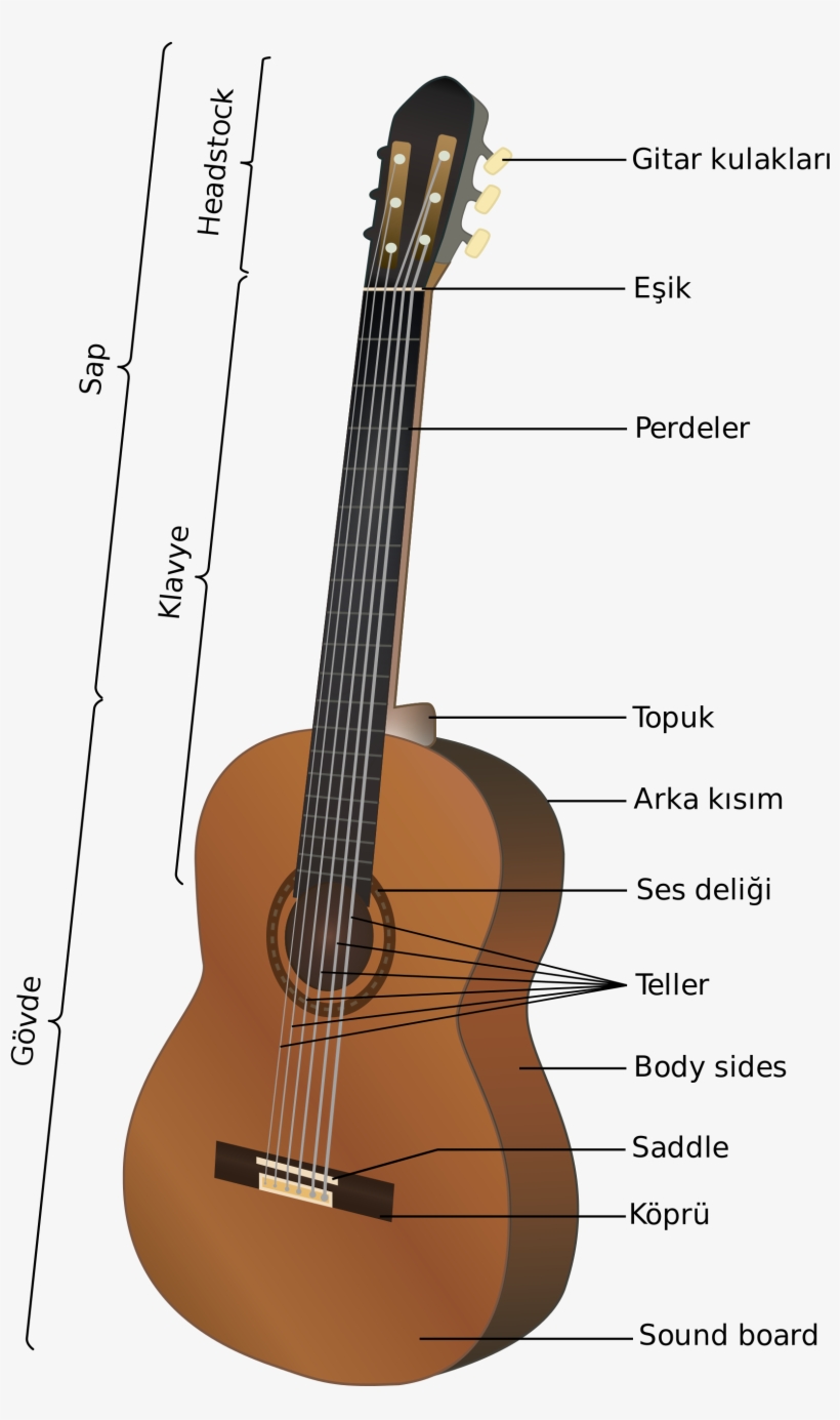 Open - Partes De La Guitarra, transparent png