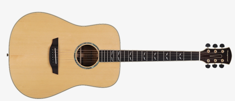 Echo - Guitar Png, transparent png