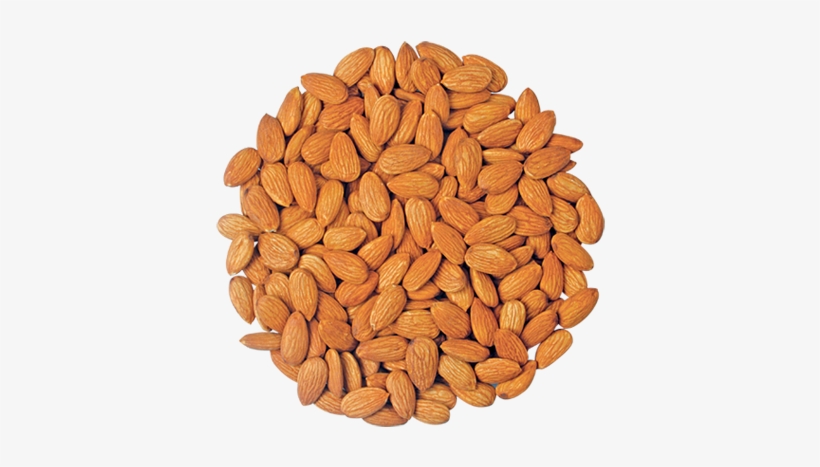 Almonds - Almond, transparent png