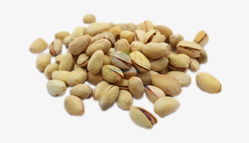 Almond, transparent png
